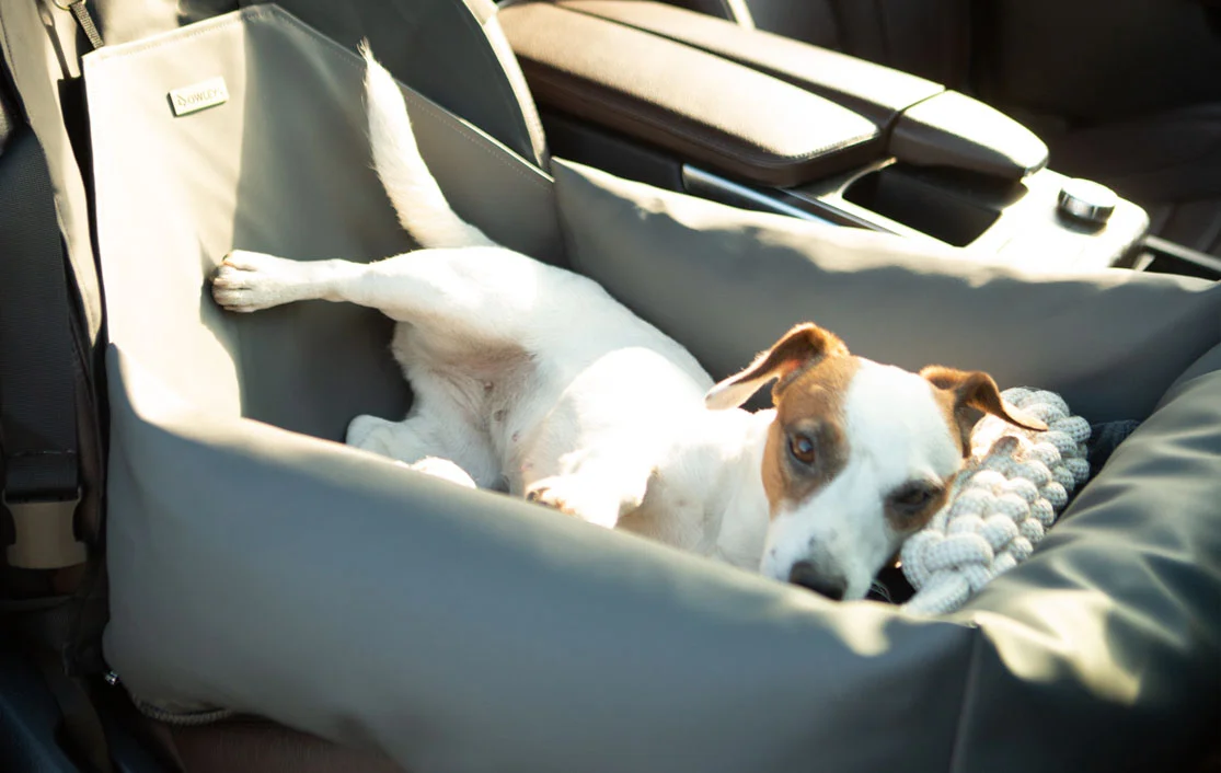 Australian Terriers Dog Car Seat for Subaru Outback