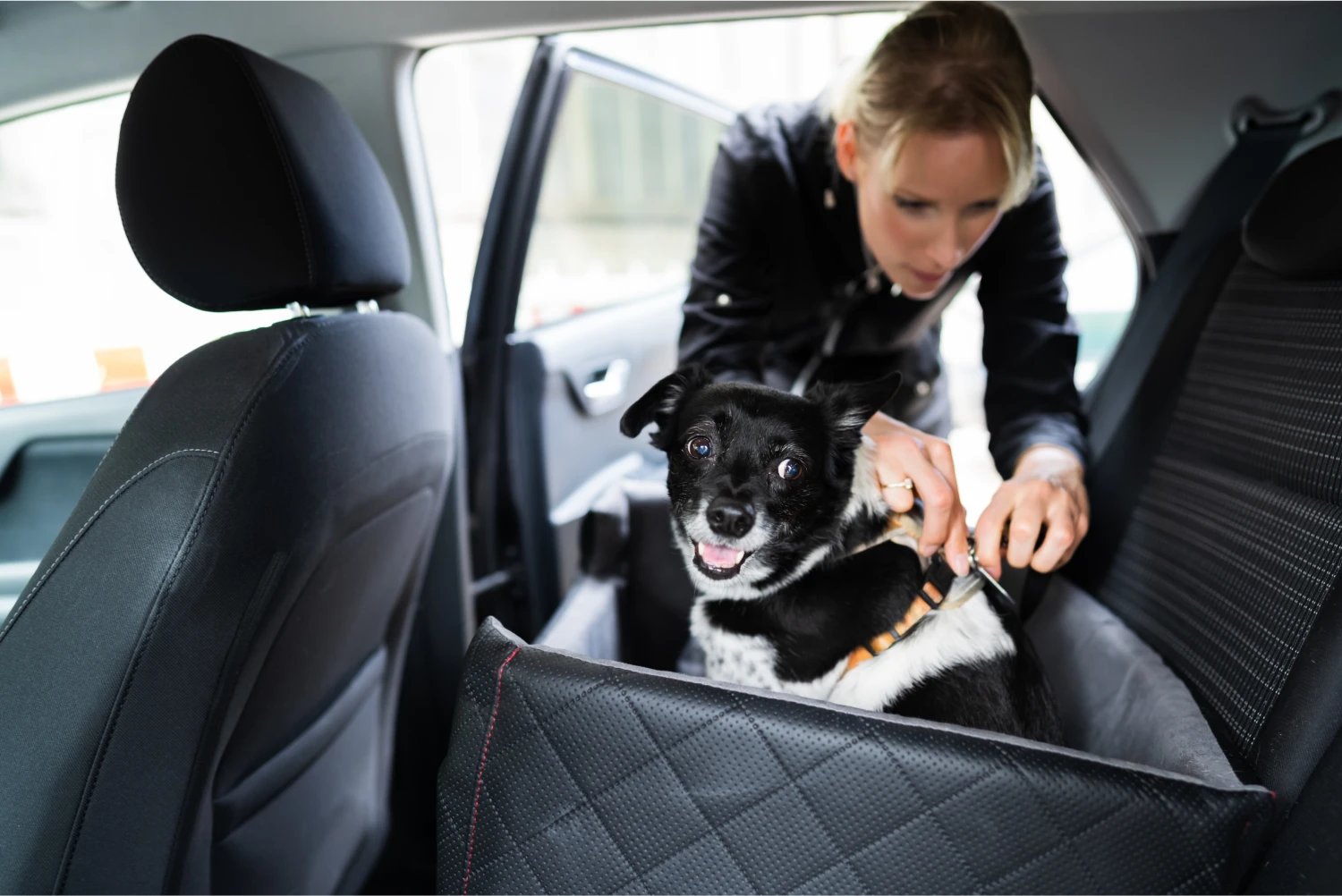 English Cocker Spaniels Dog Car Seat Belt for Nissan Rogue