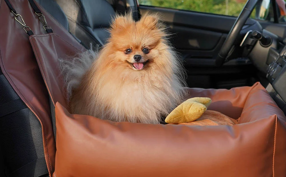 Shiba Inu Dog Car Seat for Audi A4