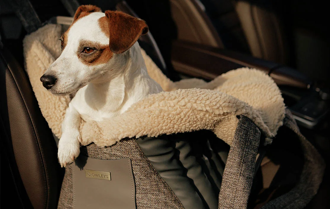 Dog Carrier Purse for Bedlington Terrier