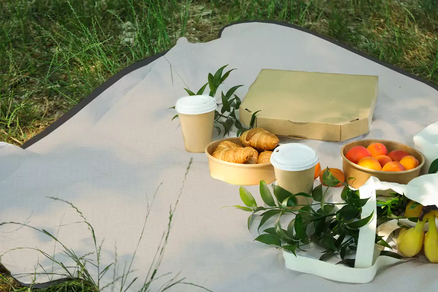 outdoor picnic blankets