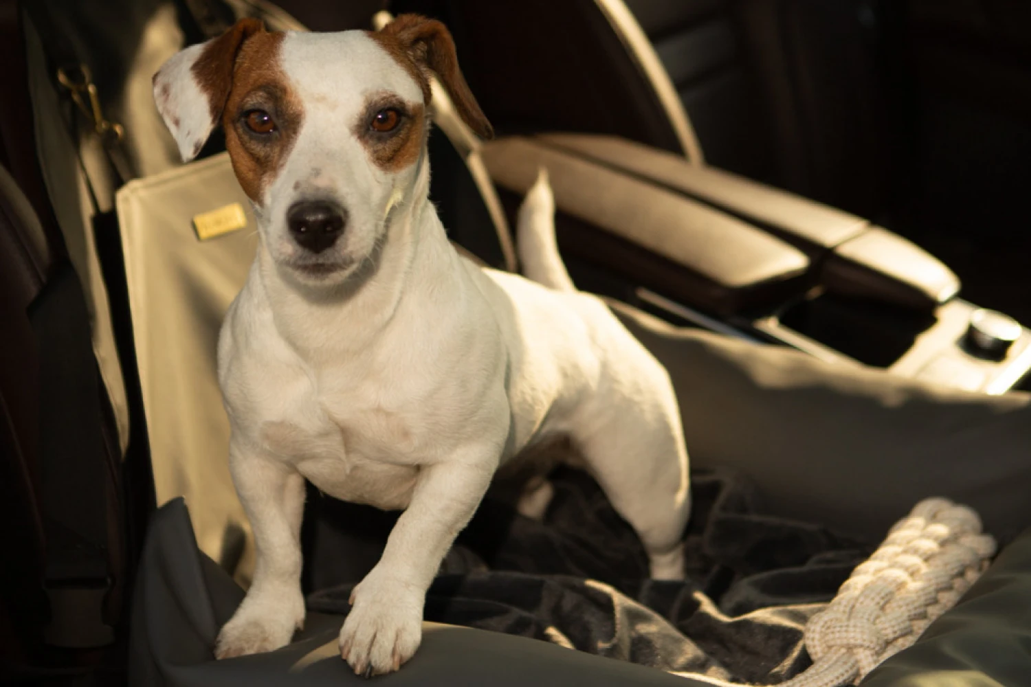 Chrysler Pacifica Dog Car Seat for Pekingese