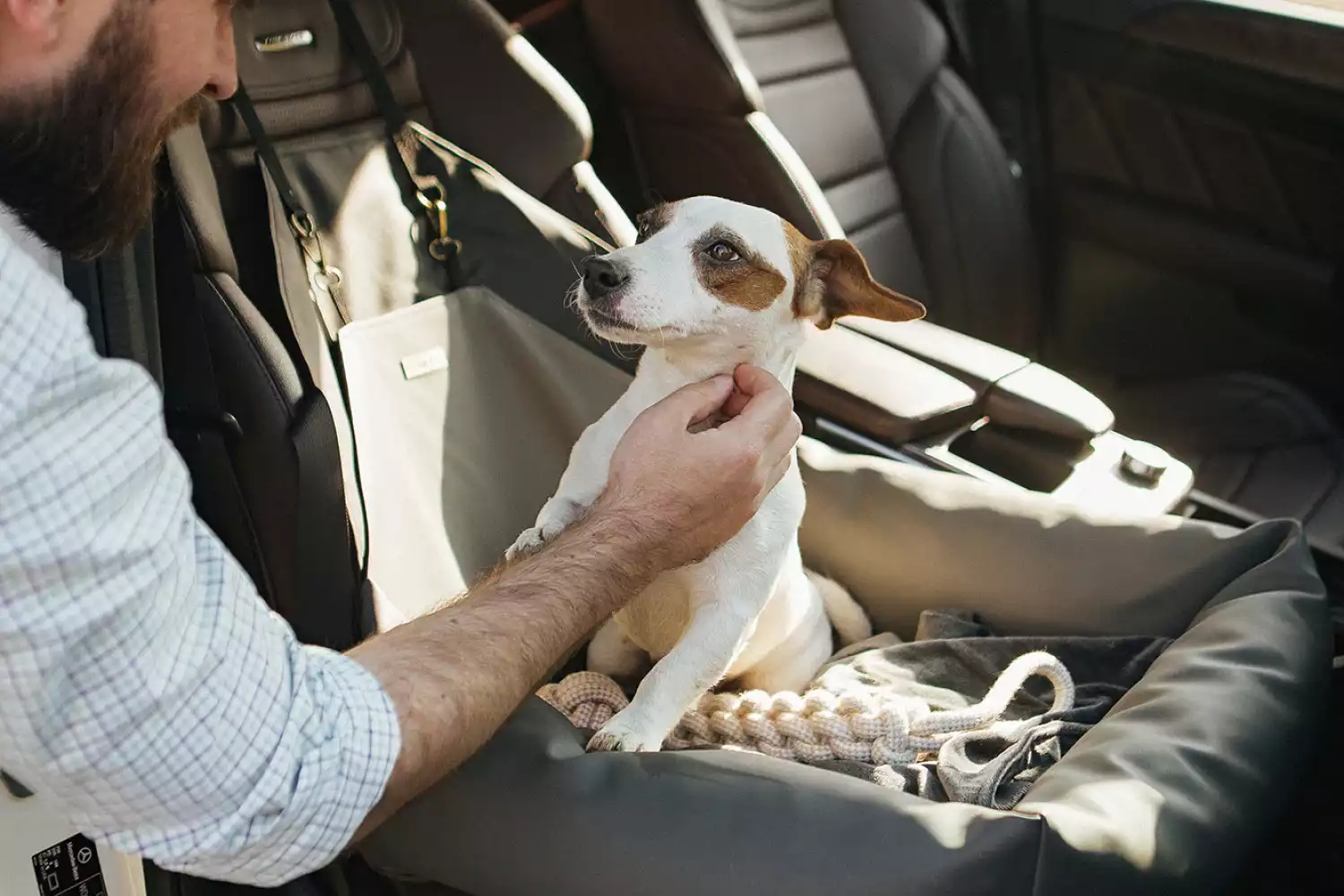 Nissan Armada Dog Car Seat for Chihuahuas