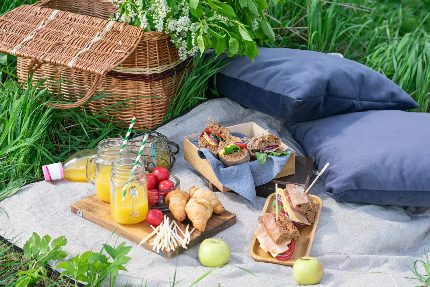 where to get a picnic blanket