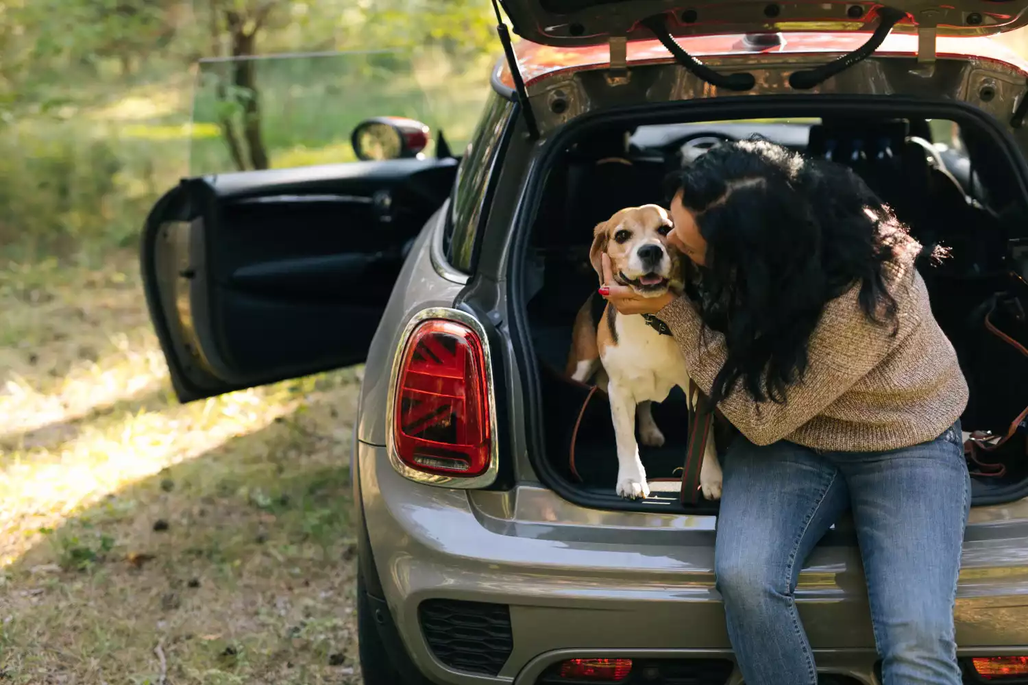 Chevrolet Silverado back seat cover for Pomeranians