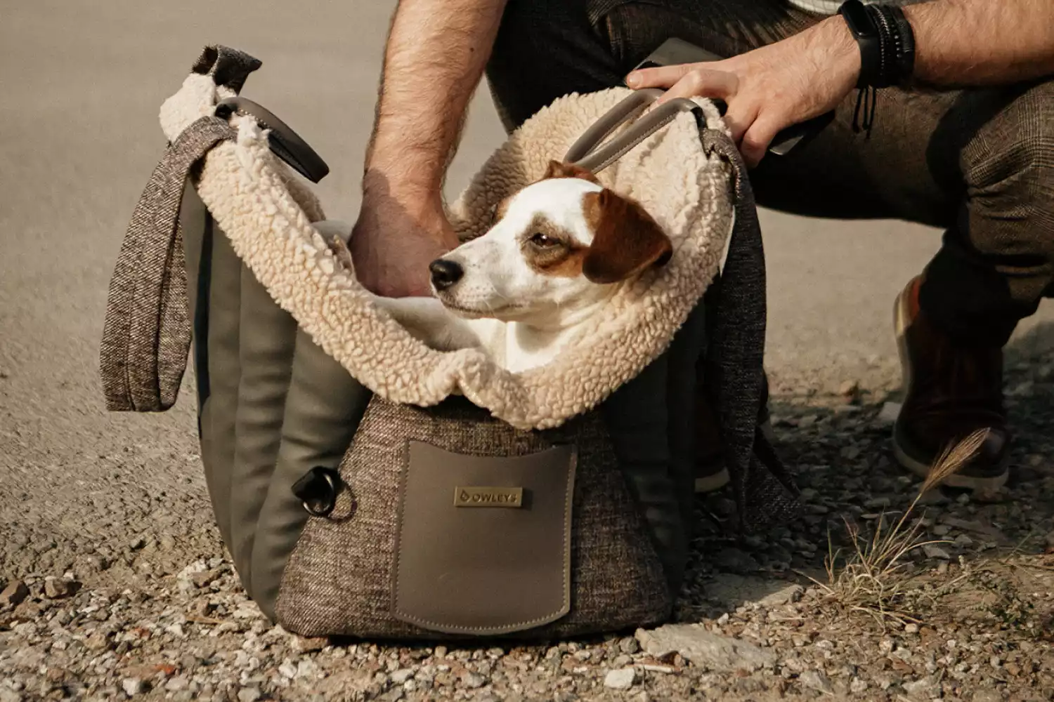 Dachshund Dog Carrier Car Seat for Tesla Model 3