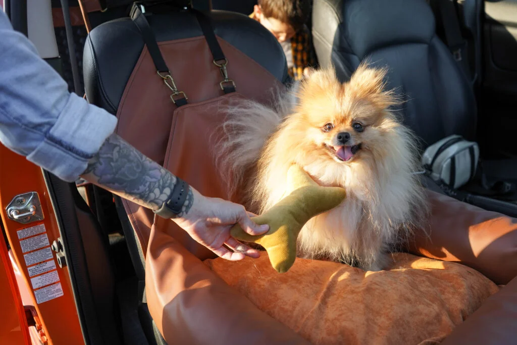 BMW X5 Dog Car Seat for Shar-Pei