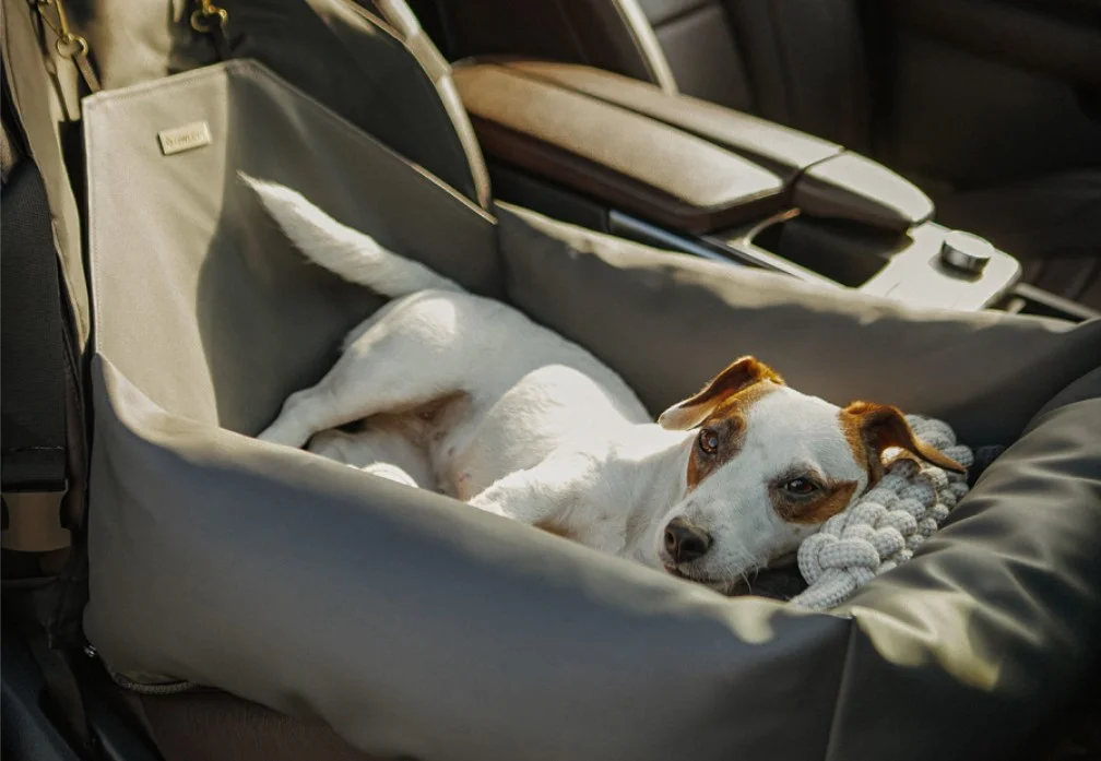 Parson Russell Terriers Dog Car Seat for Mazda3