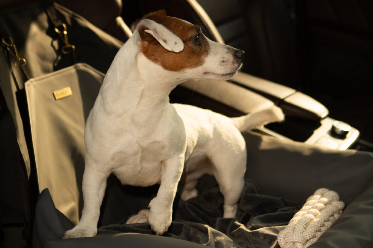 Shiba Inu Dog Car Seat for Audi A4