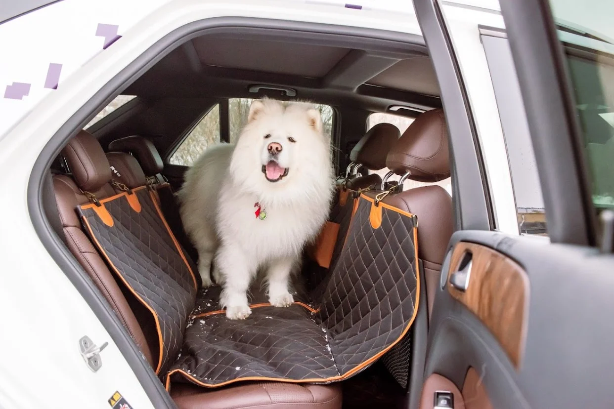 pet seat cover for Mercedes-Benz GLE