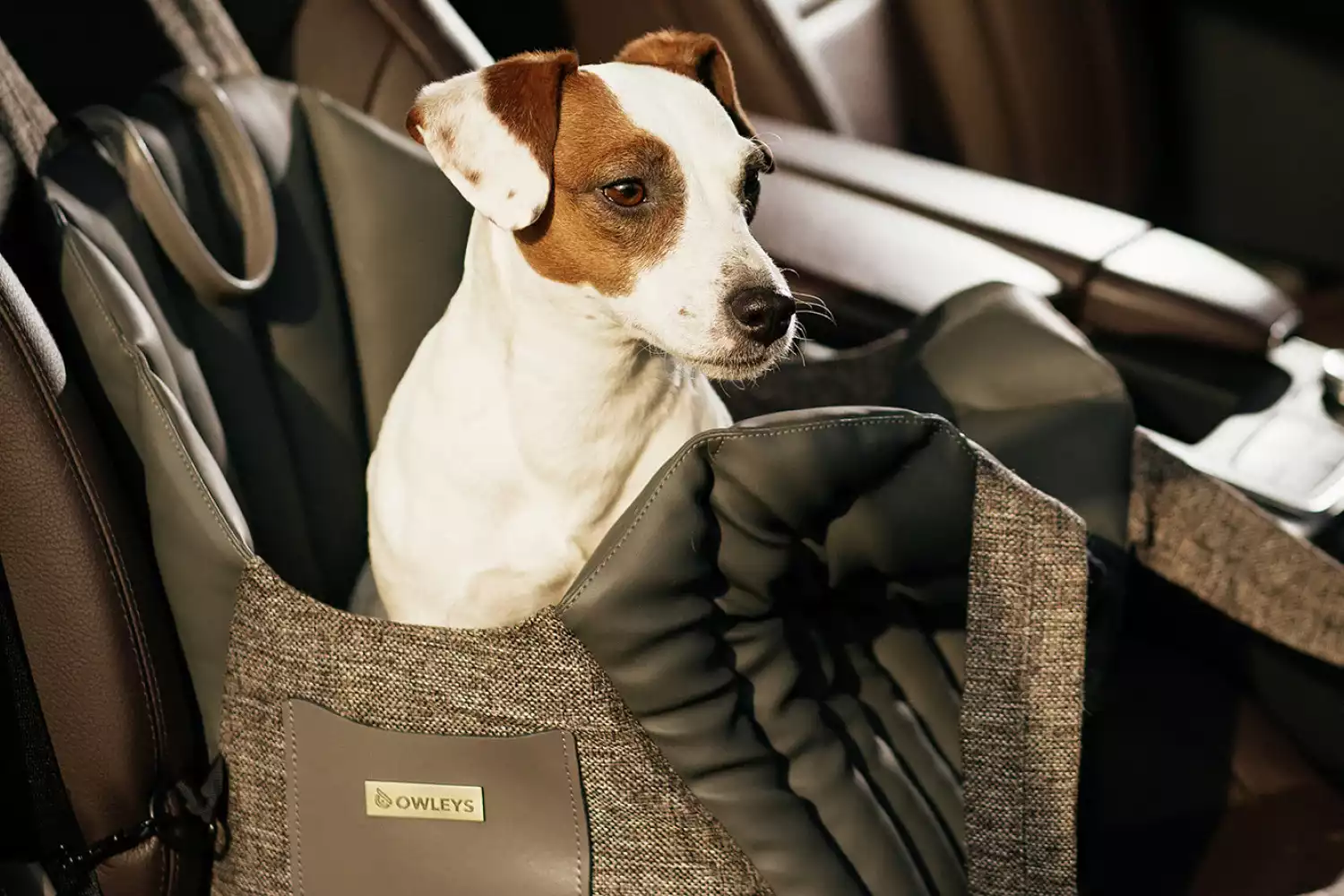 Cesky Terrier Dog Carrier Car Seat for GMC Acadia