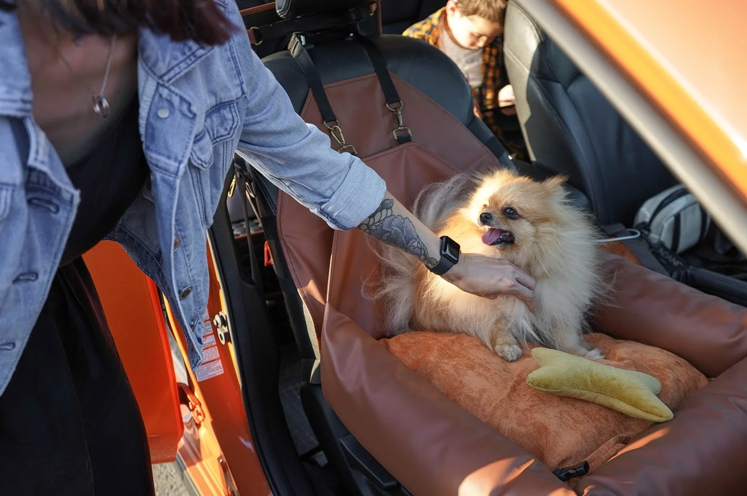 Field Spaniels Dog Car Seat for Chevrolet Impala